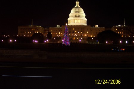 Capital and National Tree