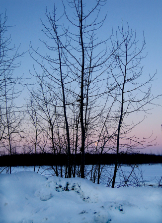 Moonset at Dawn, Susitna River, Talkeetna, Alaska
