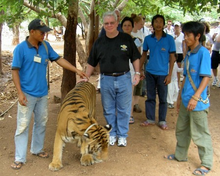 Walking with Tigers