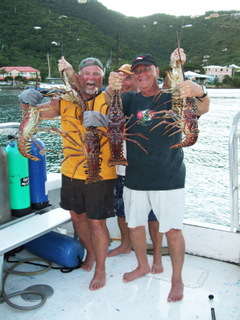 Big Bugs in USVI St. John Island