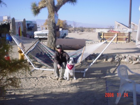 Desert Dogs Johnson Valley