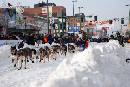 Iditarod 2010