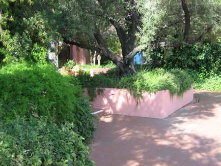 Desert Garden at an Inn in Tucson