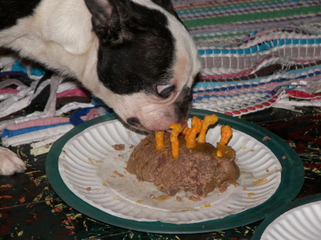 my dogs' birthday "cake"