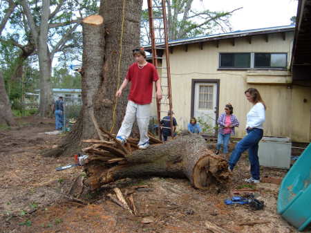 This branch saved our house