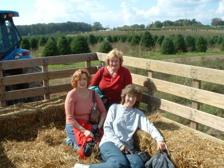 hayride