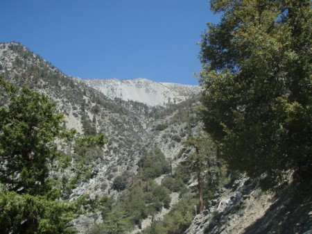 View up to Baldy area