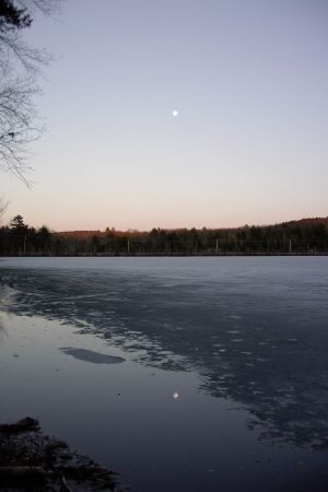 View from my dock on the lake.