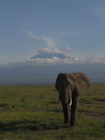 Kilimanjaro