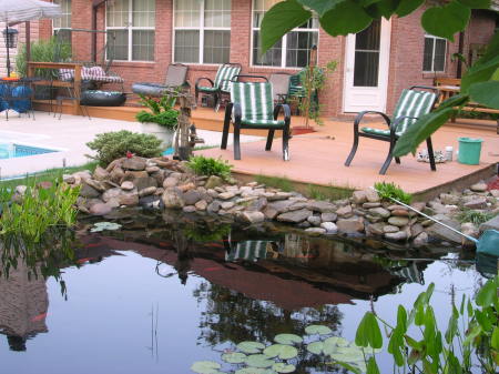 Our hobby, Building Water Gardens