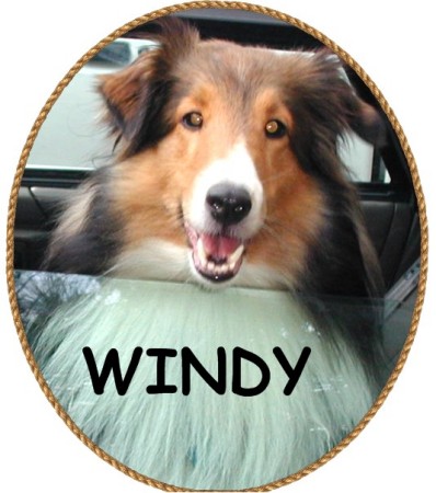 WINDY