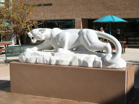 UCCS -- The Mountain Lions