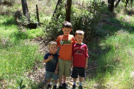 My boys on our hiking trip