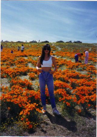 The Poppy Fields in Lancaster, Ca