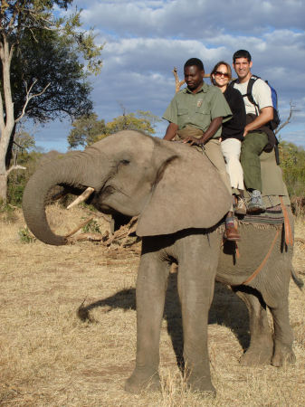 Elephant-Back safari