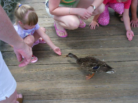 Feedin' the ducks at Disney