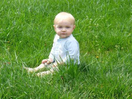 Gideon in the Grass