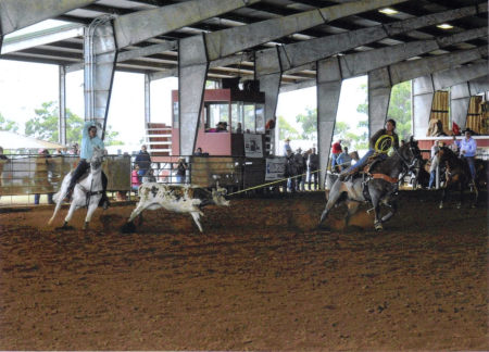 USTRC 2010