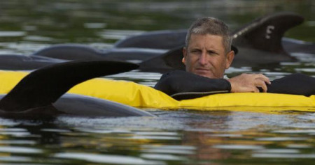 Lloyd With Whales