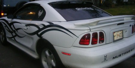 2008_0413stang0003