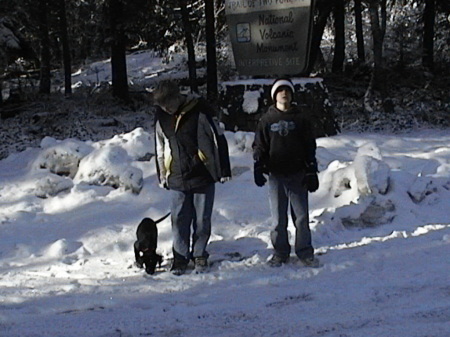 puppies first snow