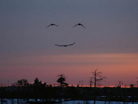 One Of My Favorites- ( The Happy Sunset! )