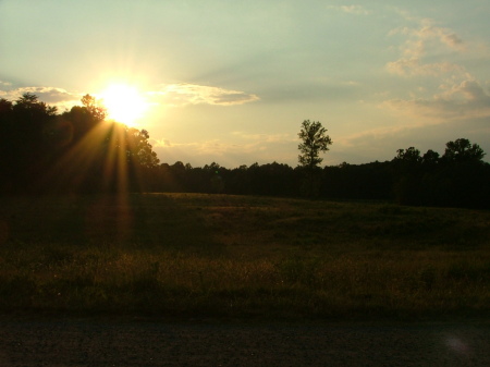 Summer Sunset