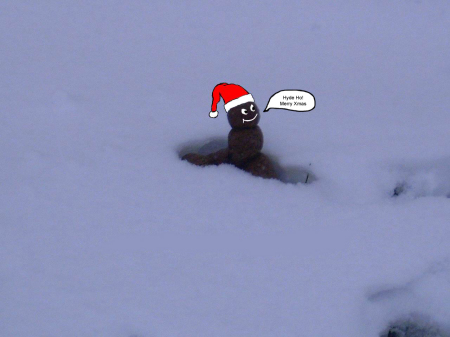 My dog, Tyson's first snowman with the help of Photo Shop.