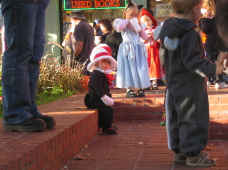 rouge kitty on Pearl Street ..Boulder,CO