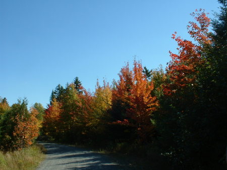 Plum Creek, Maine