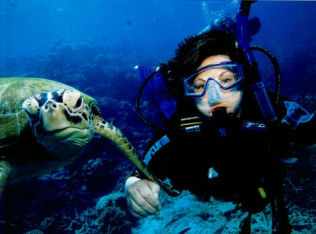 Diving with Turtles at the Great Barrier Reef
