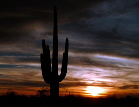 Arizona SunSet