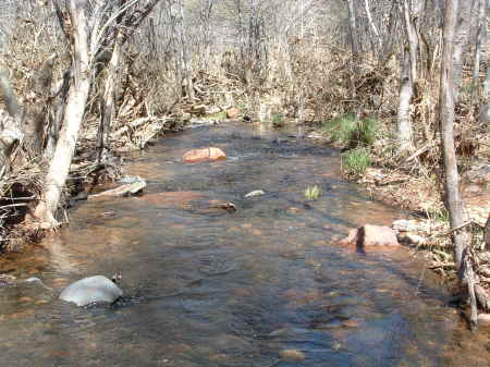 Oak Creek in Red Rock State Park, AZ