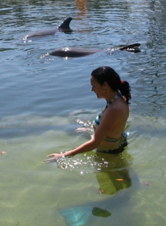 Me and the Dolphins
