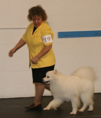 Dog show with Logan the lover