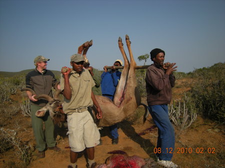 James Contino's album, African Hunt