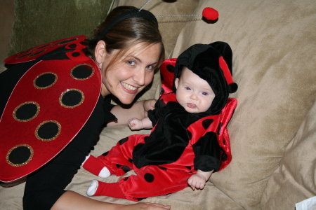 Ladybugs