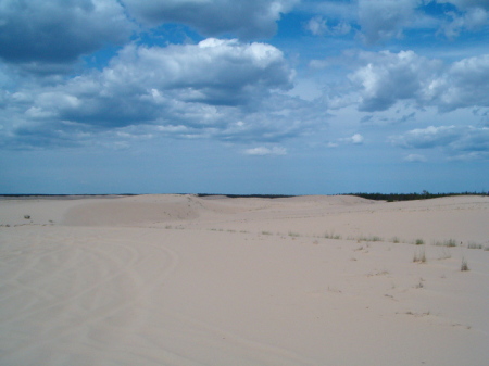 Sand Dunes of Nothern Alberta