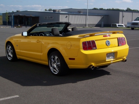 my 2005 mustang