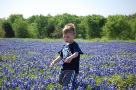 My grandson and blue bonnets