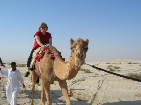 Camel Riding in Qatar