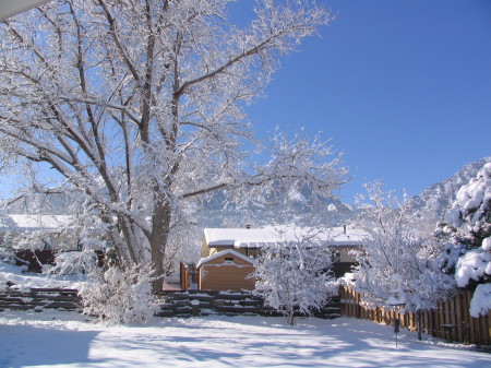 Big Snow in Colorado!