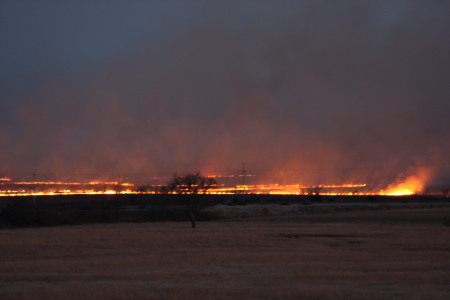 Kansas Flint Hills   (2007)