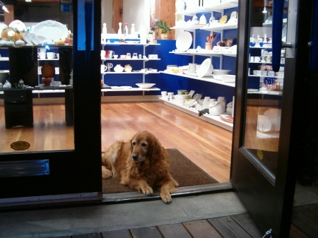 shop dog ruby