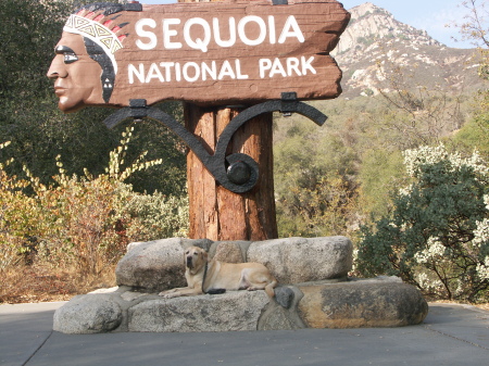 Sequoia National Park