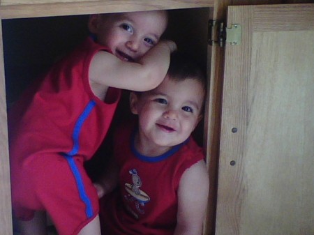 My little cabinet makers