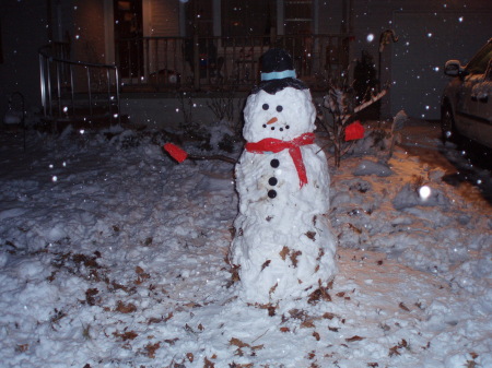 jvsnowman