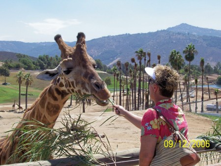 San Diego Zoo 2006