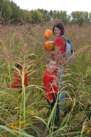 Pumpkin Hunting