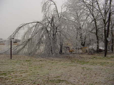 Ice storm 2007